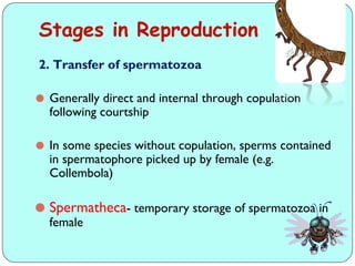 Insect Reproduce Comprehensive Overview of Insect Growth, Development, and Reproduction ...