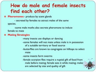 Insect Male Reproduction Comprehensive Overview of Insect Growth, Development, and Reproduction ...