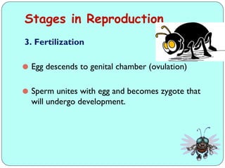 Comprehensive Overview of Insect Growth, Development, and Reproduction ...