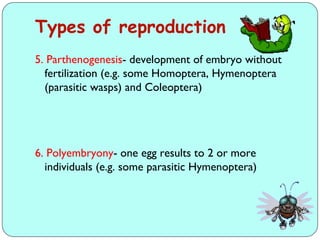 Comprehensive Overview of Insect Growth, Development, and Reproduction ...