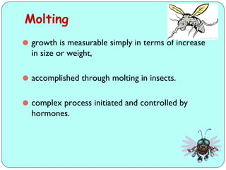 Fast Growth Insect Comprehensive Overview of Insect Growth, Development, and Reproduction ...