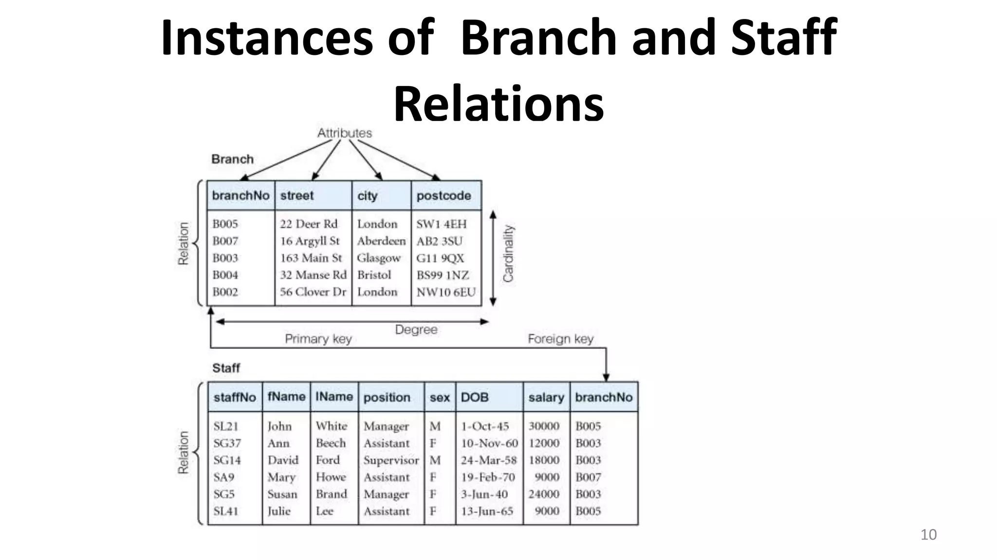 10
Instances of Branch and Staff
Relations
 