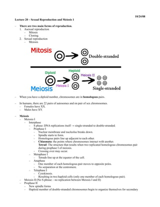 10/24/08
Lecture 20 – Sexual Reproduction and Meiosis 1

   There are two main forms of reproduction.
    1. Asexual reproduction
        Mitosis
        Cloning.
    2. Sexual reproduction
        Meiosis




   When you have a diploid number, chromosomes are in homologous pairs.

   In humans, there are 22 pairs of autosomes and on pair of sex chromosomes.
     Females have XX.
     Males have XY.

   Meiosis
     Meiosis I
        Interphase
             S phase: DNA replications itself → single-stranded to double-stranded.
             Prophase I
               Nuclear membrane and nucleolus breaks down.
               Spindle starts to form.
               Homologous pairs line up adjacent to each other.
               Chiasmata: the points where chromosomes interact with another.
                  Tetrad: The structure that results when two replicated homologous chromosomes pair
                  during prophase I of meiosis.
               Crossing over may occur.
             Metaphase I
               Tetrads line up at the equator of the cell.
             Anaphase
               One member of each homologous pair moves to opposite poles.
               No serparation at the centromere.
             Telophase I
               Cytokinesis.
               Resulting in two haploid cells (only one member of each homologous pair).
     Meiosis II (No S phrase – no replication between Meiosis I and II)
     Prophase II
        New spindle forms
        Haploid member of double-stranded chromosomes begin to organize themselves for secondary
 