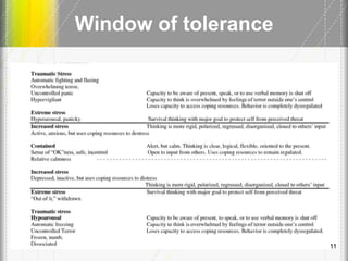 Window of tolerance
11
 