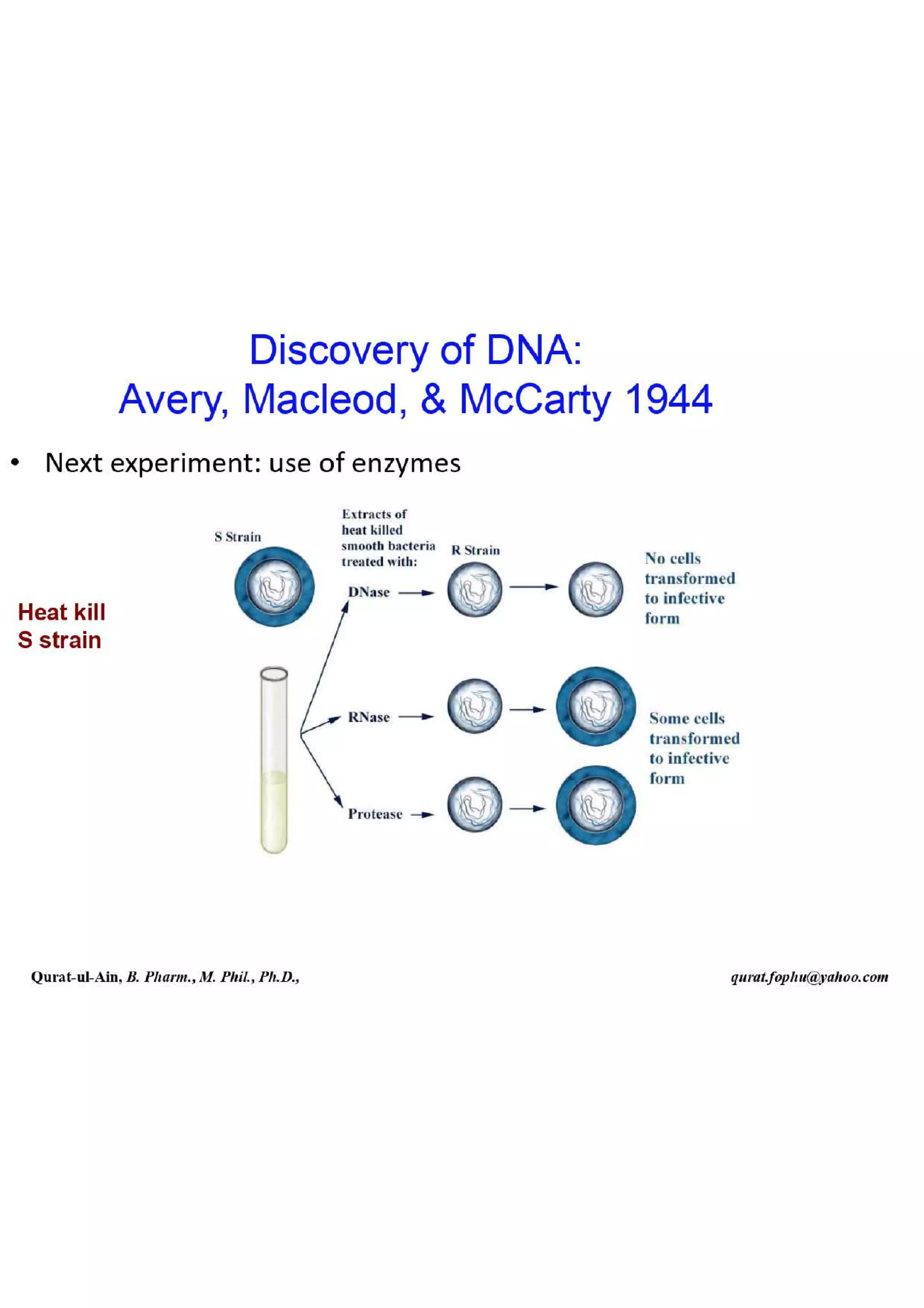 Lecture.2.part.1 Structure and Function of Nucleic Acid