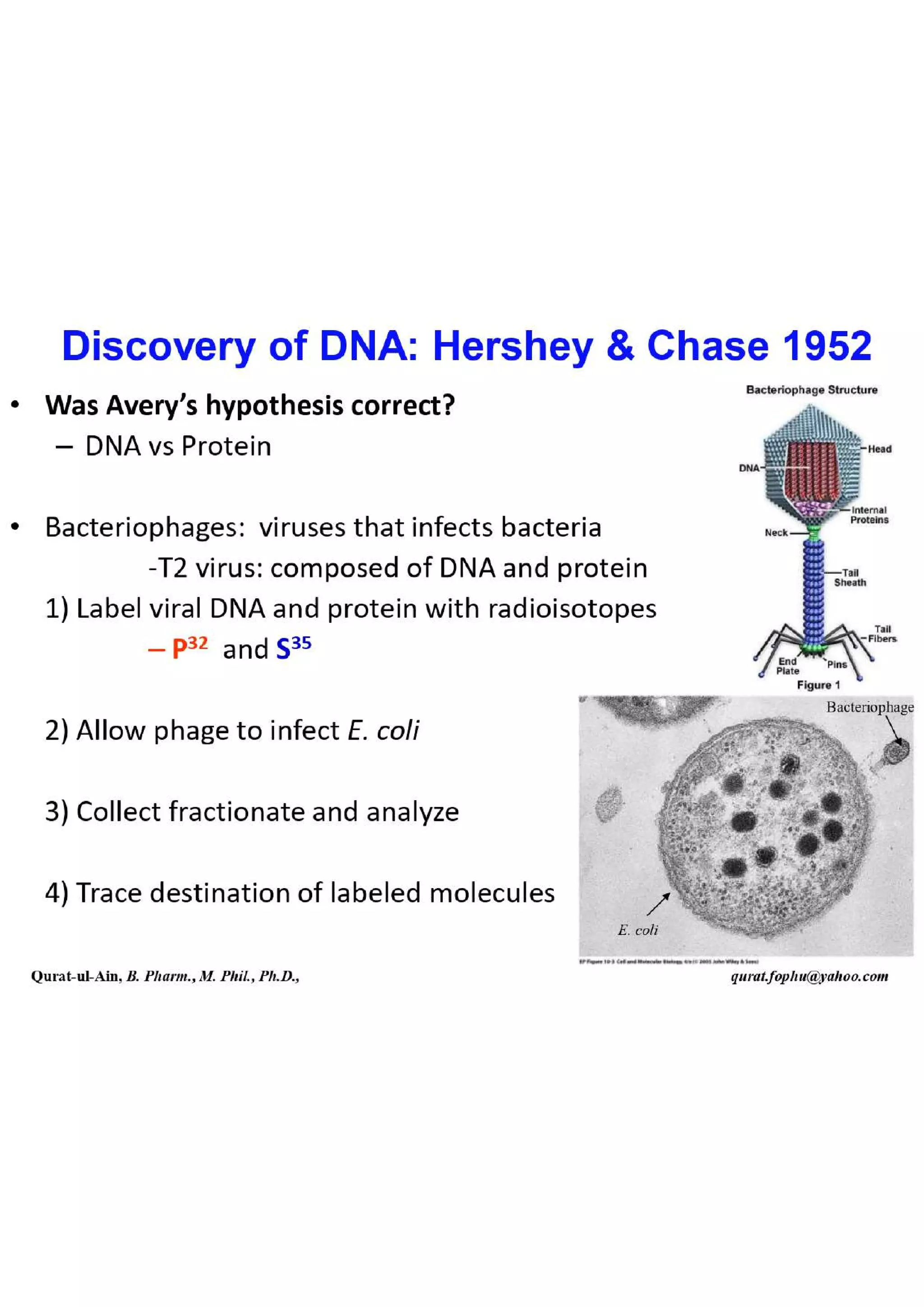 Lecture.2.part.1 Structure and Function of Nucleic Acid