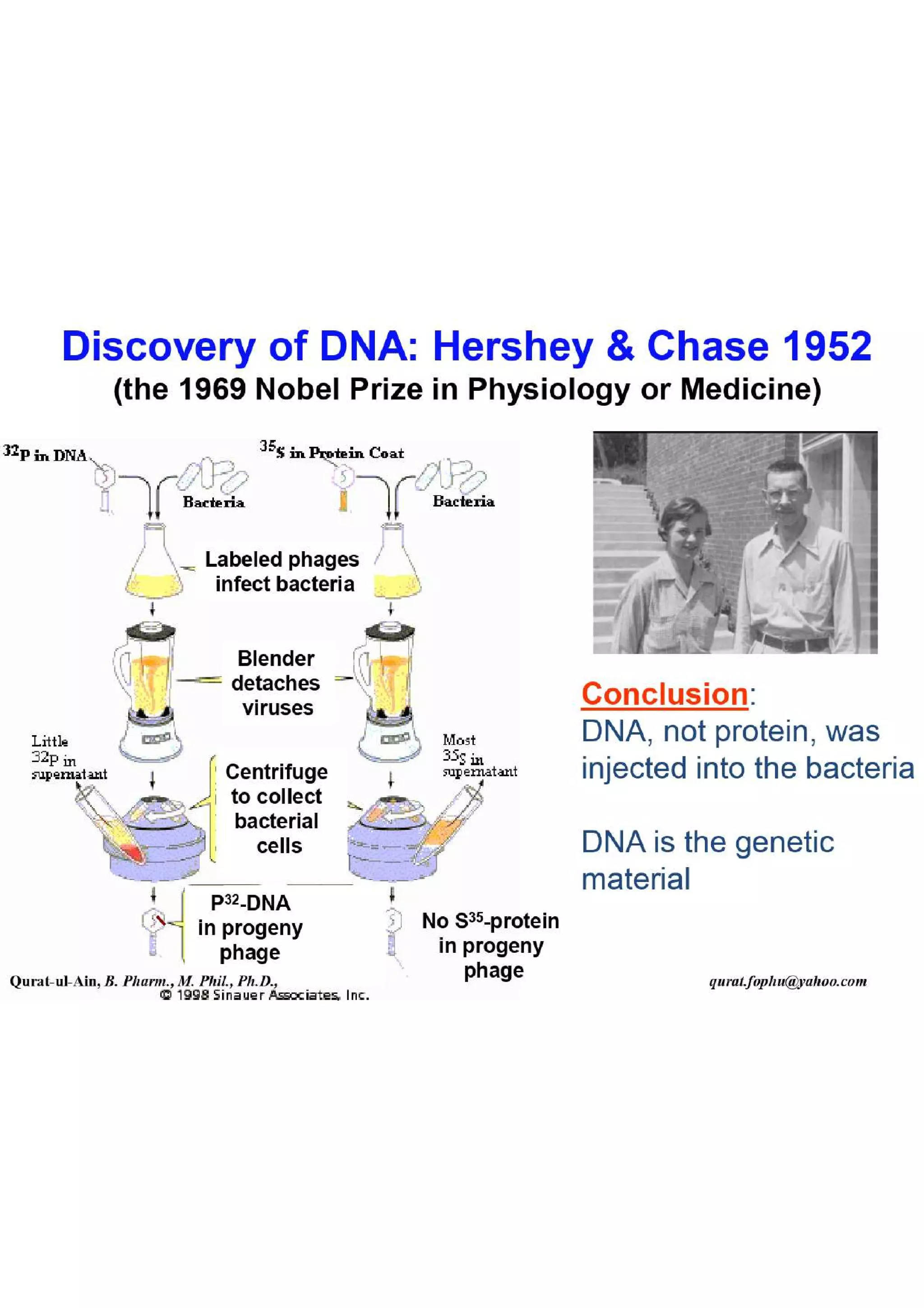 Lecture.2.part.1 Structure and Function of Nucleic Acid