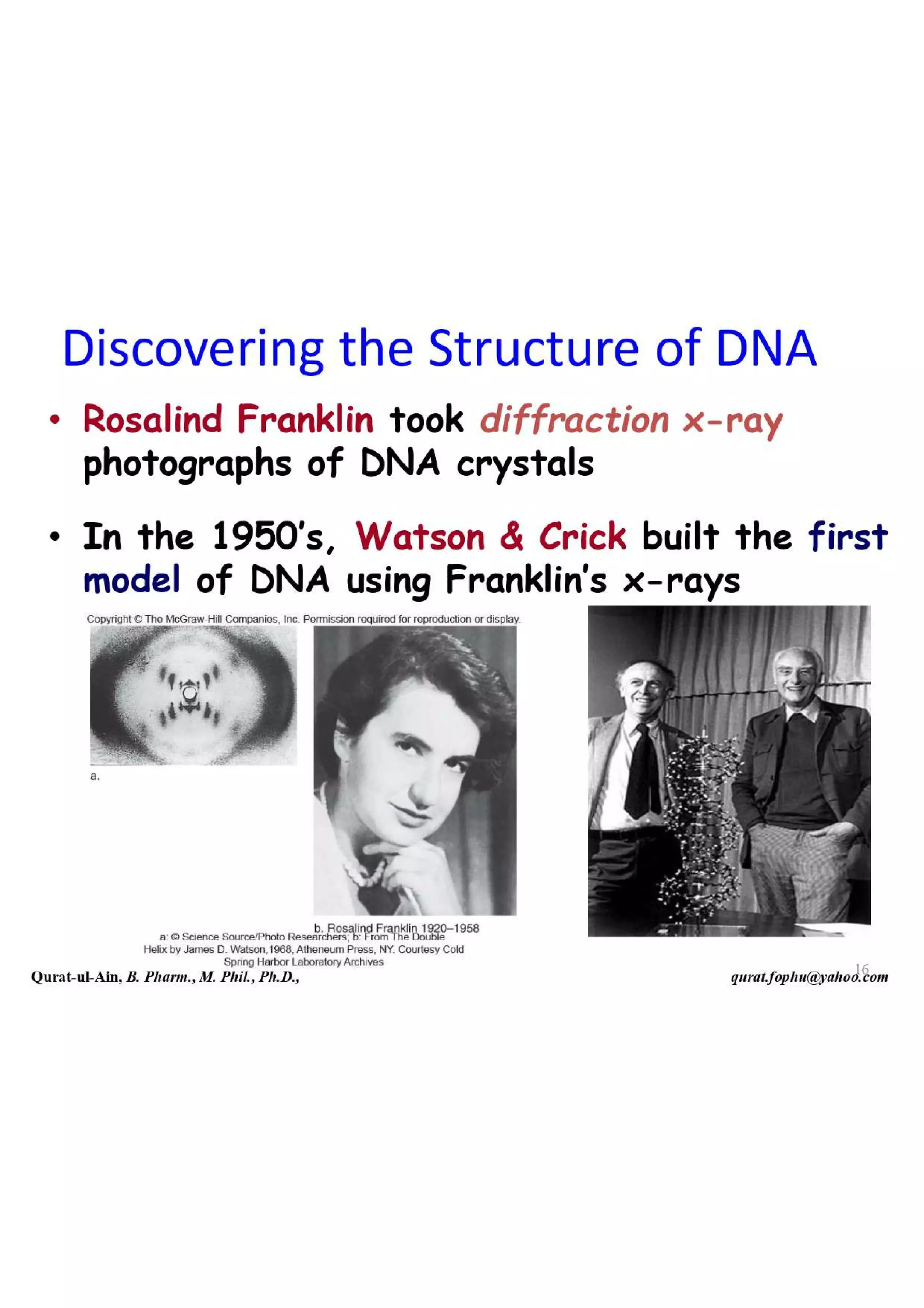 Lecture.2.part.1 Structure and Function of Nucleic Acid