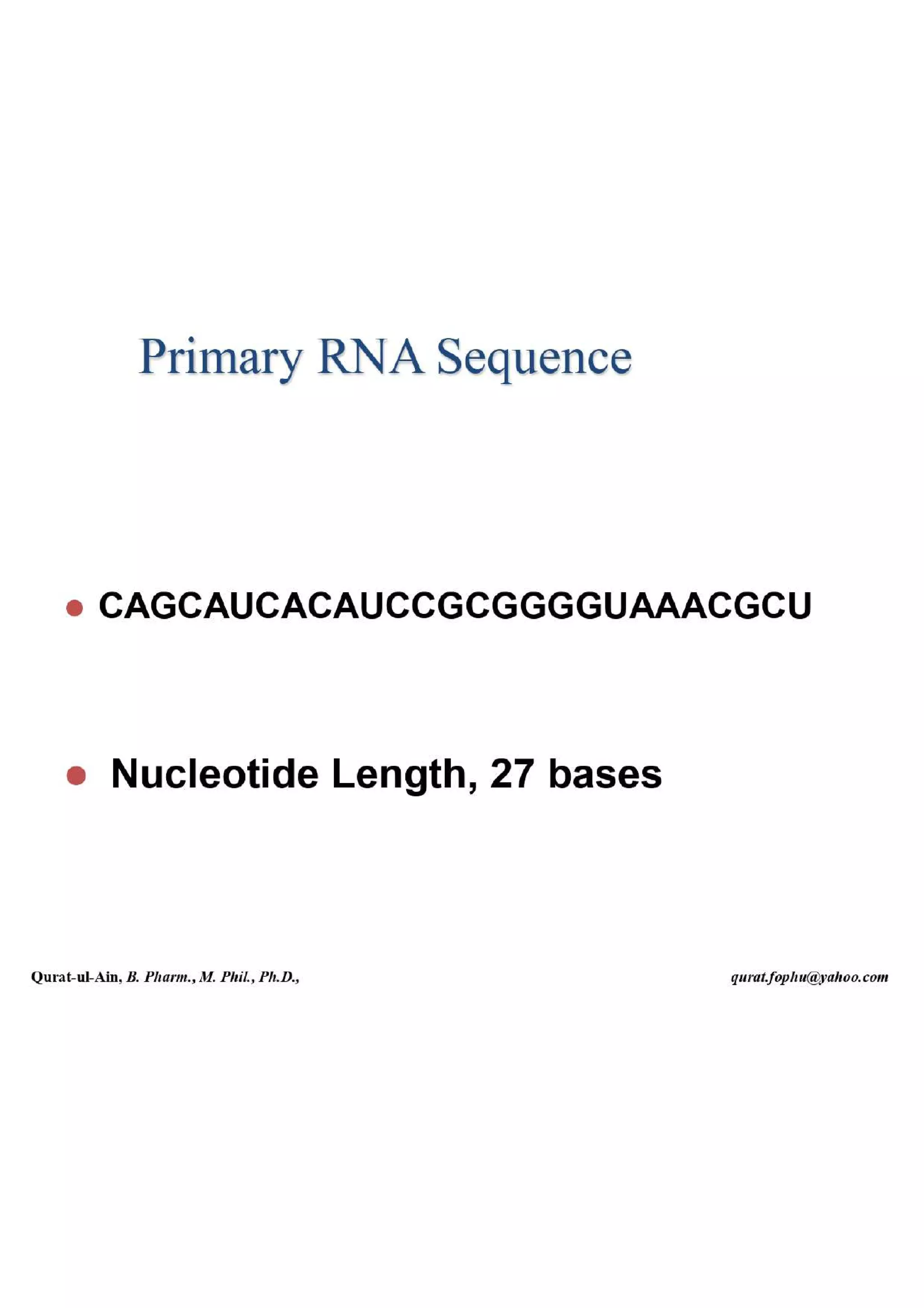 Lecture.2.part.1 Structure and Function of Nucleic Acid