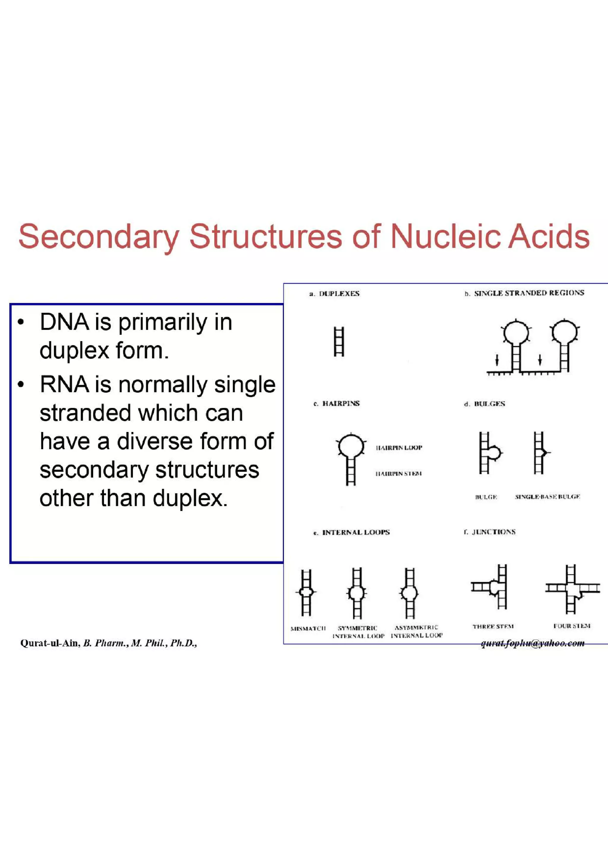 Lecture.2.part.1 Structure and Function of Nucleic Acid