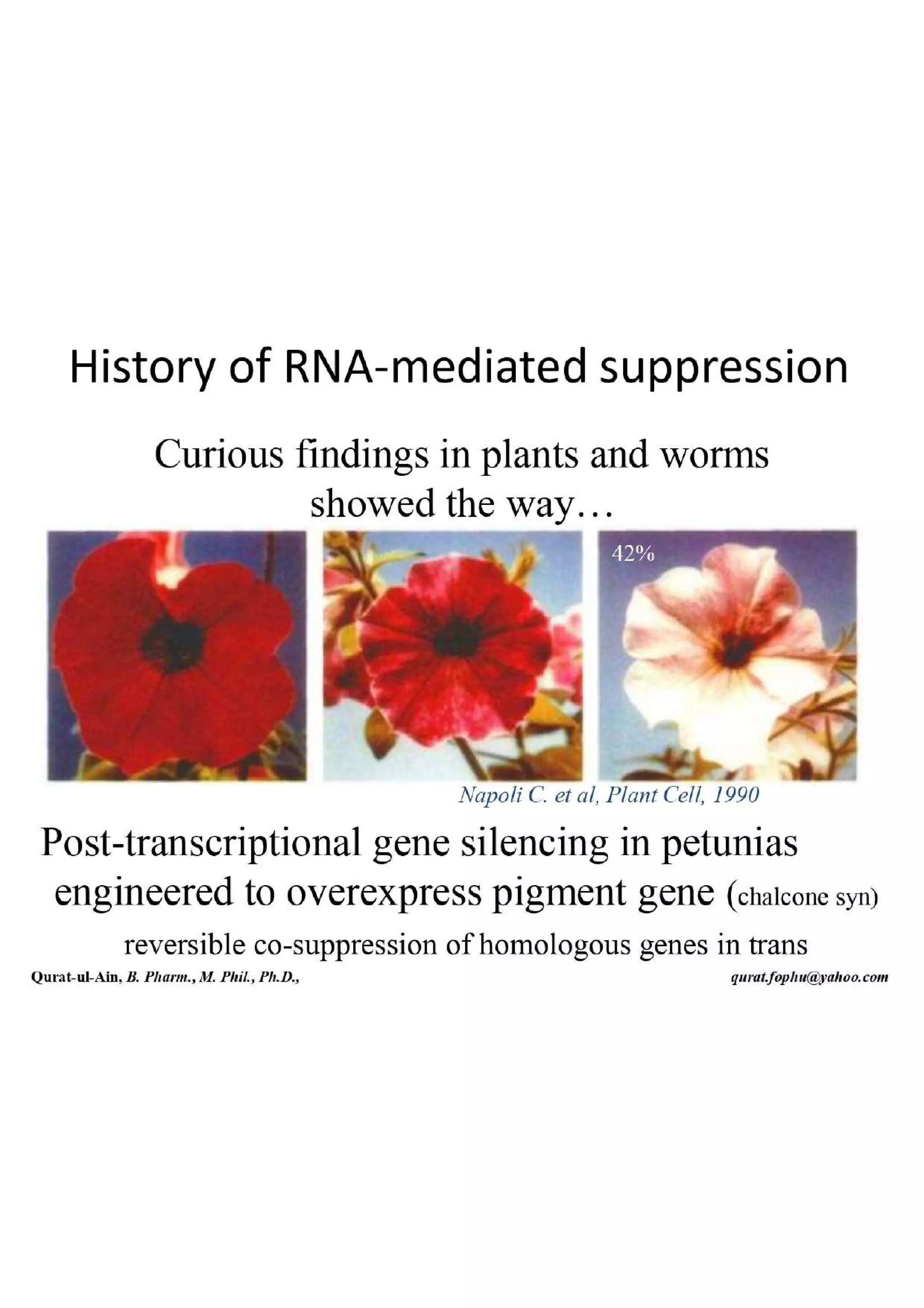 Lecture.2.part.1 Structure and Function of Nucleic Acid