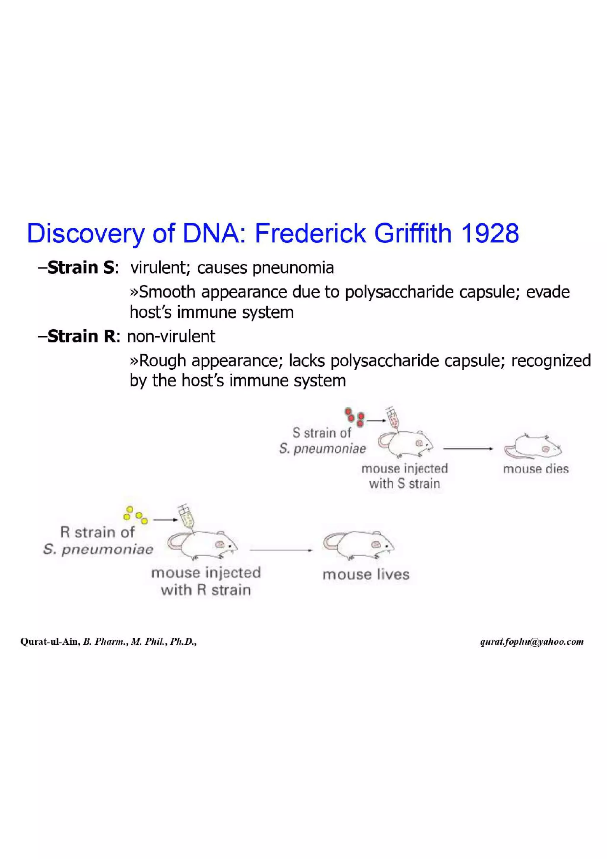 Lecture.2.part.1 Structure and Function of Nucleic Acid