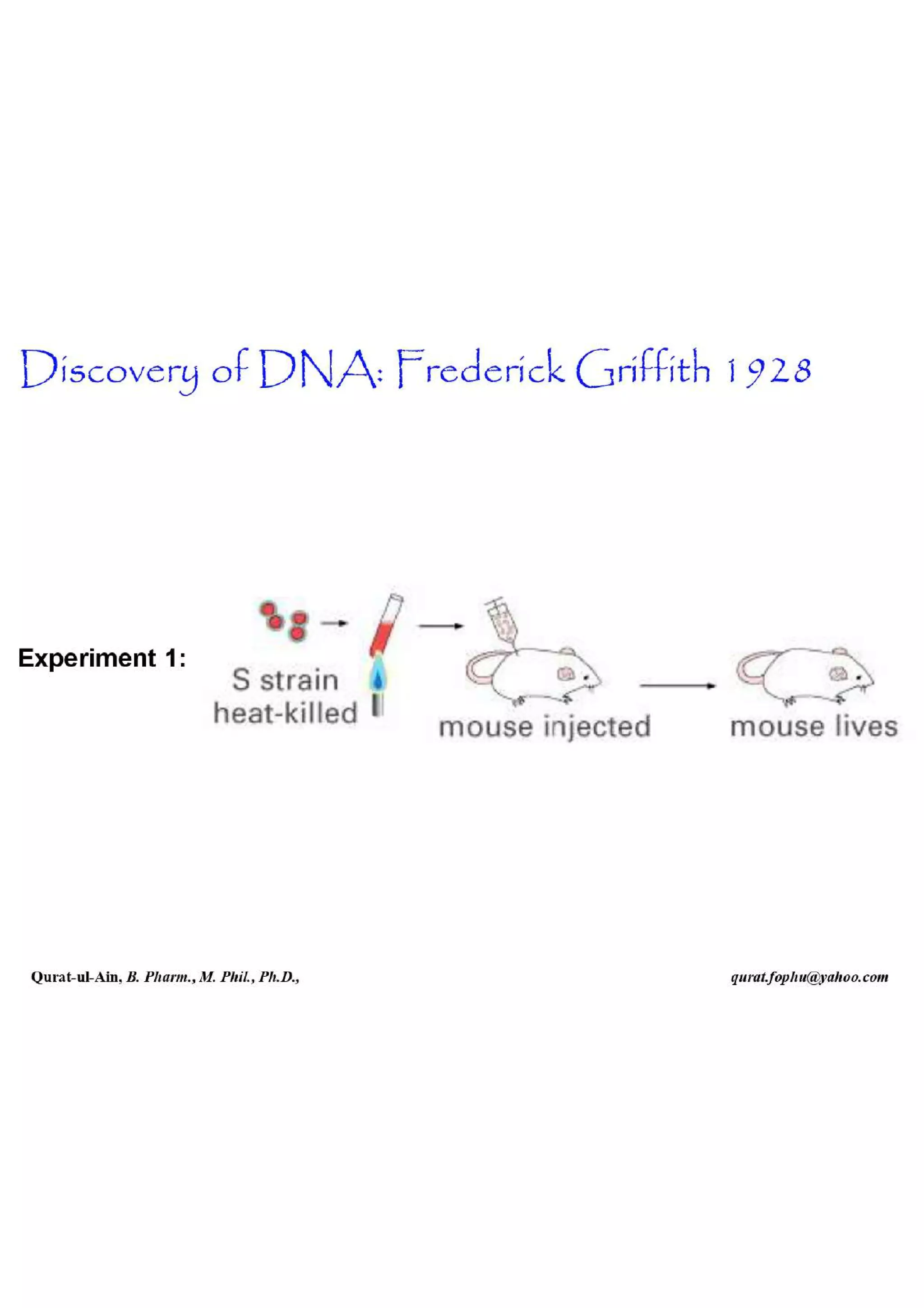 Lecture.2.part.1 Structure and Function of Nucleic Acid