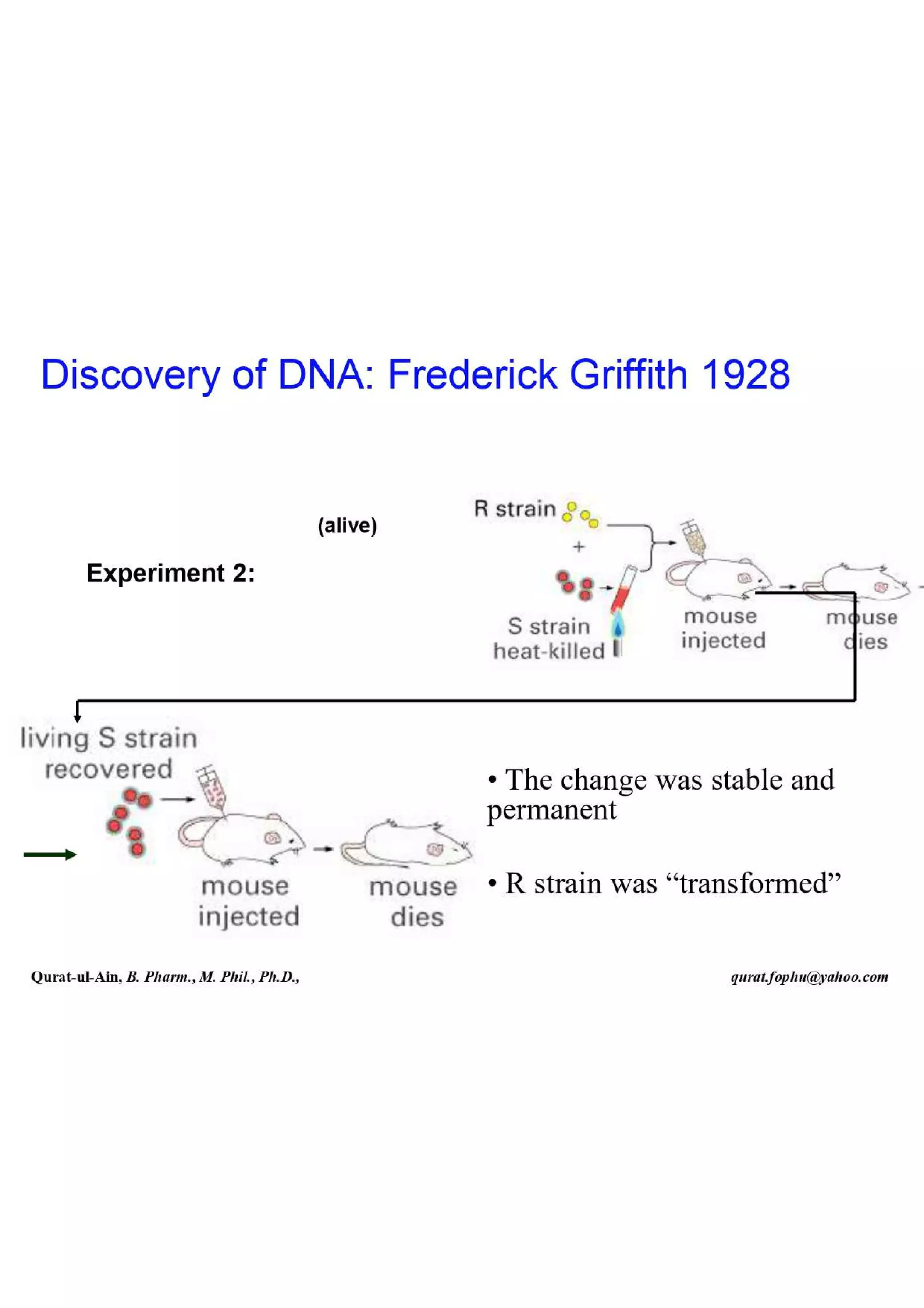 Lecture.2.part.1 Structure and Function of Nucleic Acid