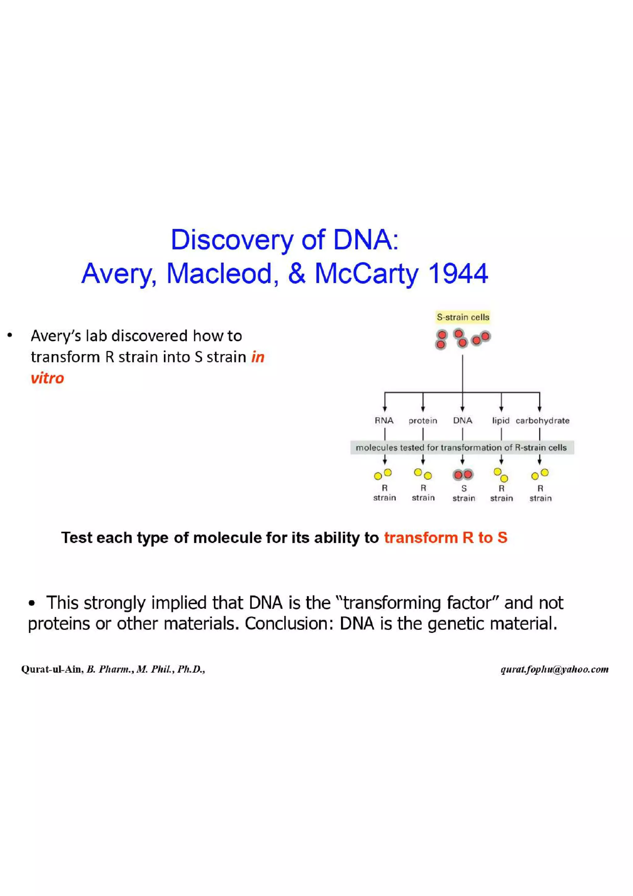 Lecture.2.part.1 Structure and Function of Nucleic Acid