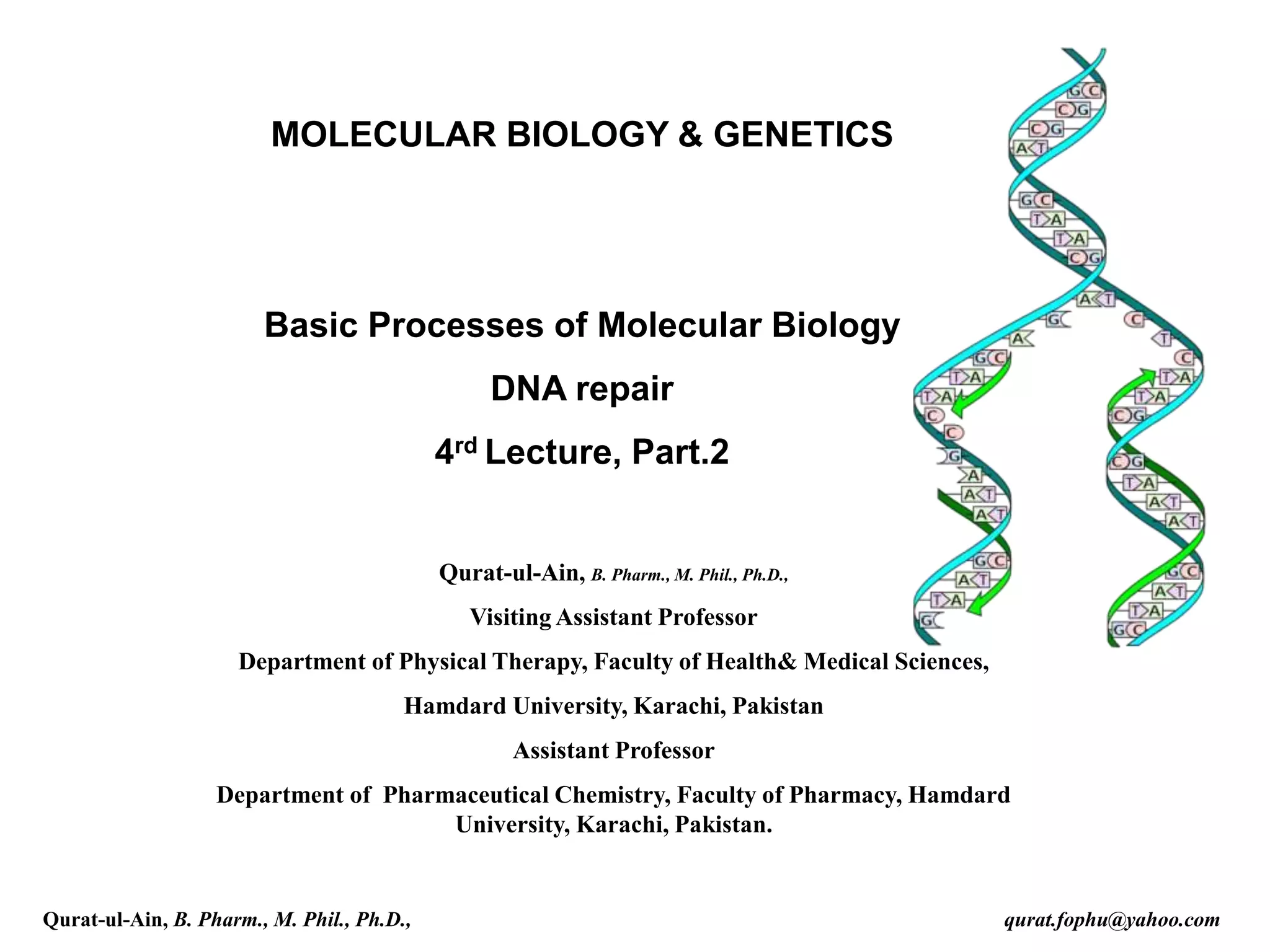 MOLECULAR BIOLOGY & GENETICS
Basic Processes of Molecular Biology
DNA repair
4rd Lecture, Part.2
Qurat-ul-Ain, B. Pharm., M. Phil., Ph.D.,
Visiting Assistant Professor
Department of Physical Therapy, Faculty of Health& Medical Sciences,
Hamdard University, Karachi, Pakistan
Assistant Professor
Department of Pharmaceutical Chemistry, Faculty of Pharmacy, Hamdard
University, Karachi, Pakistan.
Qurat-ul-Ain, B. Pharm., M. Phil., Ph.D., qurat.fophu@yahoo.com
 