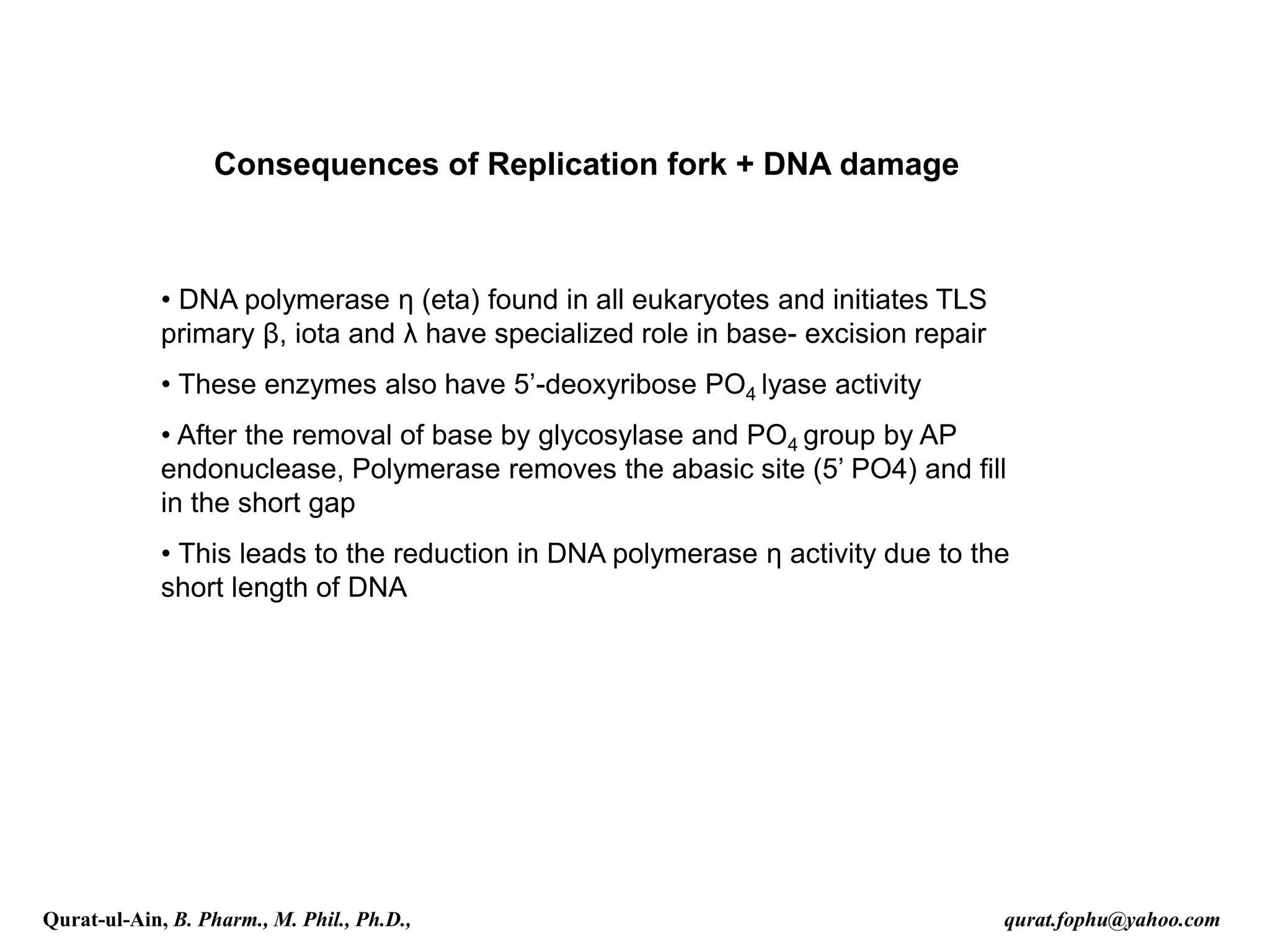 • DNA polymerase η (eta) found in all eukaryotes and initiates TLS
primary β, iota and λ have specialized role in base- excision repair
• These enzymes also have 5’-deoxyribose PO4 lyase activity
• After the removal of base by glycosylase and PO4 group by AP
endonuclease, Polymerase removes the abasic site (5’ PO4) and fill
in the short gap
• This leads to the reduction in DNA polymerase η activity due to the
short length of DNA
Consequences of Replication fork + DNA damage
Qurat-ul-Ain, B. Pharm., M. Phil., Ph.D., qurat.fophu@yahoo.com
 
