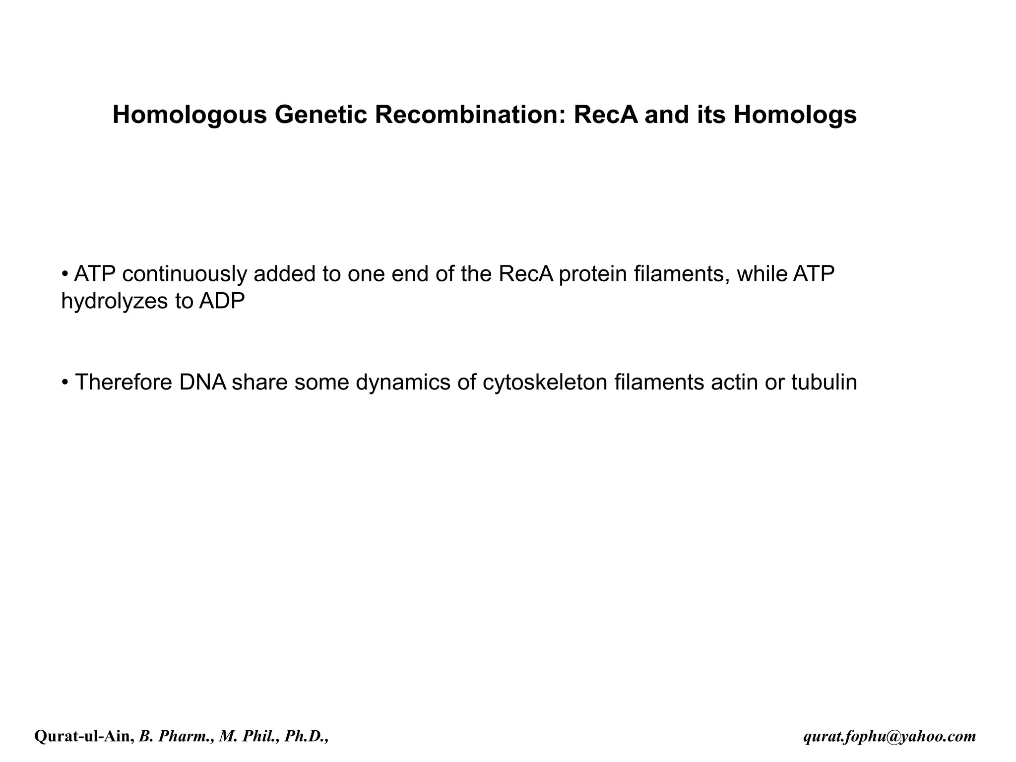 Homologous Genetic Recombination: RecA and its Homologs
• ATP continuously added to one end of the RecA protein filaments, while ATP
hydrolyzes to ADP
• Therefore DNA share some dynamics of cytoskeleton filaments actin or tubulin
Qurat-ul-Ain, B. Pharm., M. Phil., Ph.D., qurat.fophu@yahoo.com
 