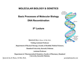 MOLECULAR BIOLOGY & GENETICS
Basic Processes of Molecular Biology
DNA Recombination
5th Lecture
Qurat-ul-Ain, B. Pharm., M. Phil., Ph.D.,
Visiting Assistant Professor
Department of Physical Therapy, Faculty of Health& Medical Sciences,
Hamdard University, Karachi, Pakistan
Assistant Professor
Department of Pharmaceutical Chemistry, Faculty of Pharmacy, Hamdard
University, Karachi, Pakistan.
Qurat-ul-Ain, B. Pharm., M. Phil., Ph.D., qurat.fophu@yahoo.com
 
