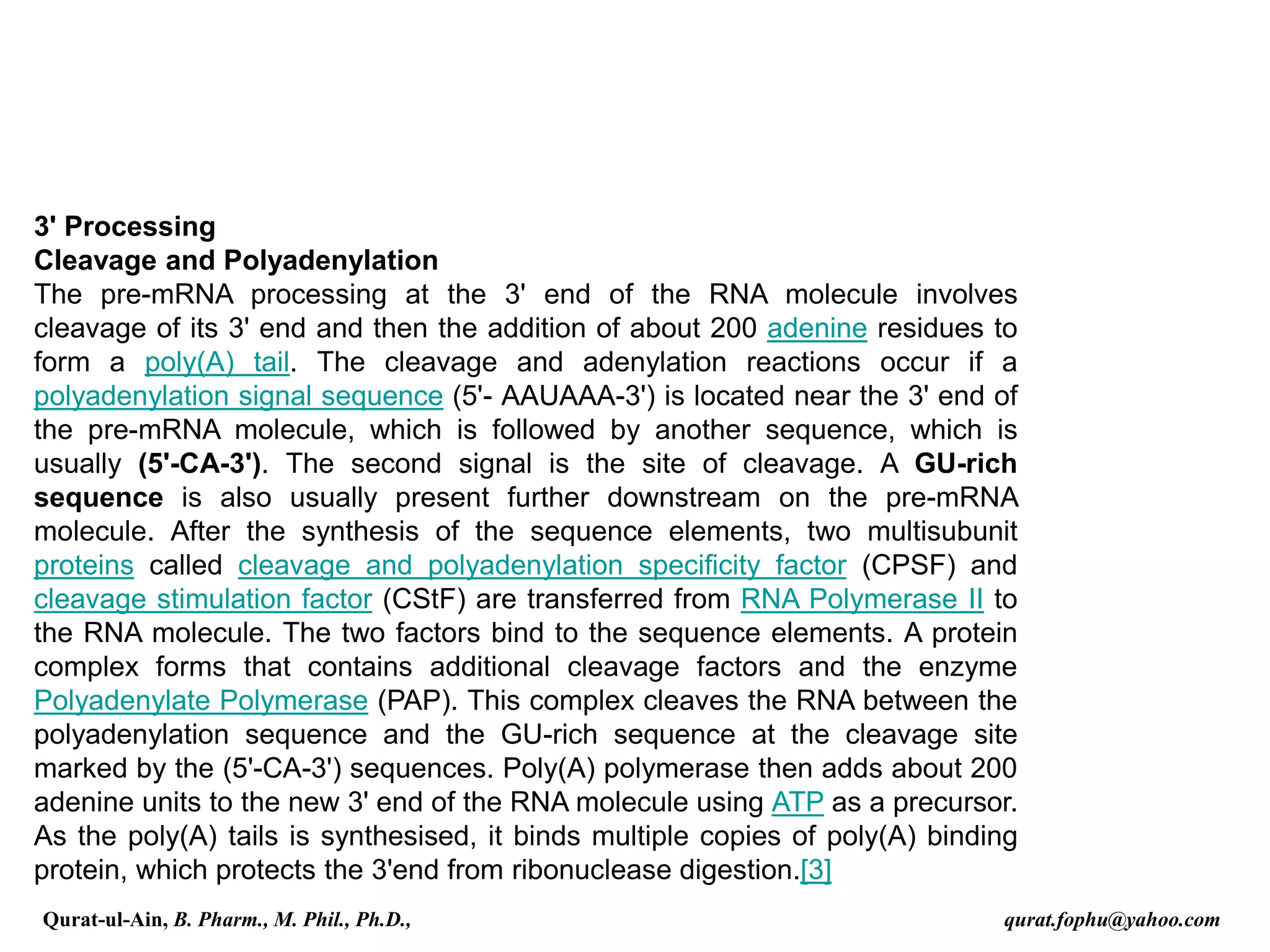 3' Processing
Cleavage and Polyadenylation
The pre-mRNA processing at the 3' end of the RNA molecule involves
cleavage of its 3' end and then the addition of about 200 adenine residues to
form a poly(A) tail. The cleavage and adenylation reactions occur if a
polyadenylation signal sequence (5'- AAUAAA-3') is located near the 3' end of
the pre-mRNA molecule, which is followed by another sequence, which is
usually (5'-CA-3'). The second signal is the site of cleavage. A GU-rich
sequence is also usually present further downstream on the pre-mRNA
molecule. After the synthesis of the sequence elements, two multisubunit
proteins called cleavage and polyadenylation specificity factor (CPSF) and
cleavage stimulation factor (CStF) are transferred from RNA Polymerase II to
the RNA molecule. The two factors bind to the sequence elements. A protein
complex forms that contains additional cleavage factors and the enzyme
Polyadenylate Polymerase (PAP). This complex cleaves the RNA between the
polyadenylation sequence and the GU-rich sequence at the cleavage site
marked by the (5'-CA-3') sequences. Poly(A) polymerase then adds about 200
adenine units to the new 3' end of the RNA molecule using ATP as a precursor.
As the poly(A) tails is synthesised, it binds multiple copies of poly(A) binding
protein, which protects the 3'end from ribonuclease digestion.[3]
Qurat-ul-Ain, B. Pharm., M. Phil., Ph.D., qurat.fophu@yahoo.com
 