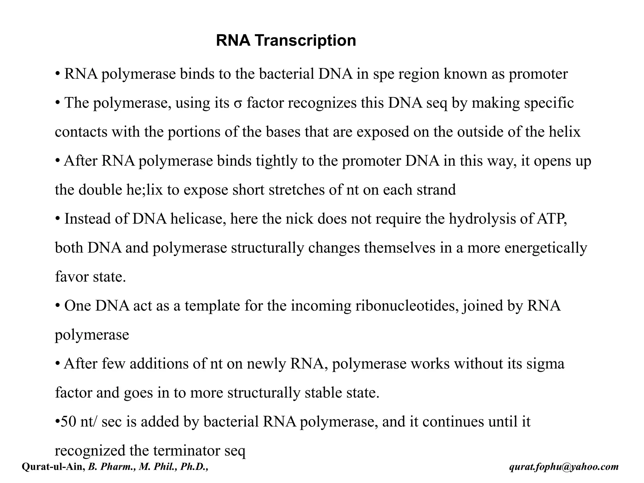 RNA Transcription
• RNA polymerase binds to the bacterial DNA in spe region known as promoter
• The polymerase, using its σ factor recognizes this DNA seq by making specific
contacts with the portions of the bases that are exposed on the outside of the helix
• After RNA polymerase binds tightly to the promoter DNA in this way, it opens up
the double he;lix to expose short stretches of nt on each strand
• Instead of DNA helicase, here the nick does not require the hydrolysis of ATP,
both DNA and polymerase structurally changes themselves in a more energetically
favor state.
• One DNA act as a template for the incoming ribonucleotides, joined by RNA
polymerase
• After few additions of nt on newly RNA, polymerase works without its sigma
factor and goes in to more structurally stable state.
•50 nt/ sec is added by bacterial RNA polymerase, and it continues until it
recognized the terminator seq
Qurat-ul-Ain, B. Pharm., M. Phil., Ph.D., qurat.fophu@yahoo.com
 