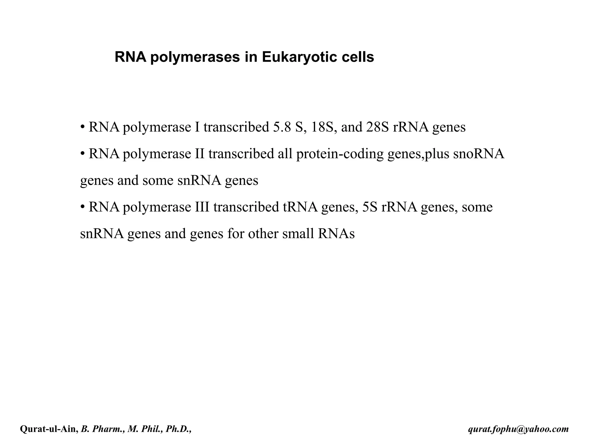 • RNA polymerase I transcribed 5.8 S, 18S, and 28S rRNA genes
• RNA polymerase II transcribed all protein-coding genes,plus snoRNA
genes and some snRNA genes
• RNA polymerase III transcribed tRNA genes, 5S rRNA genes, some
snRNA genes and genes for other small RNAs
RNA polymerases in Eukaryotic cells
Qurat-ul-Ain, B. Pharm., M. Phil., Ph.D., qurat.fophu@yahoo.com
 