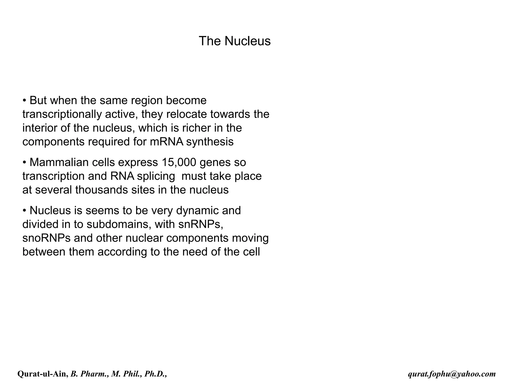 The Nucleus
• But when the same region become
transcriptionally active, they relocate towards the
interior of the nucleus, which is richer in the
components required for mRNA synthesis
• Mammalian cells express 15,000 genes so
transcription and RNA splicing must take place
at several thousands sites in the nucleus
• Nucleus is seems to be very dynamic and
divided in to subdomains, with snRNPs,
snoRNPs and other nuclear components moving
between them according to the need of the cell
Qurat-ul-Ain, B. Pharm., M. Phil., Ph.D., qurat.fophu@yahoo.com
 