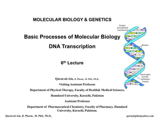 MOLECULAR BIOLOGY & GENETICS
Basic Processes of Molecular Biology
DNA Transcription
6th Lecture
Qurat-ul-Ain, B. Pharm., M. Phil., Ph.D.,
Visiting Assistant Professor
Department of Physical Therapy, Faculty of Health& Medical Sciences,
Hamdard University, Karachi, Pakistan
Assistant Professor
Department of Pharmaceutical Chemistry, Faculty of Pharmacy, Hamdard
University, Karachi, Pakistan.
Qurat-ul-Ain, B. Pharm., M. Phil., Ph.D., qurat.fophu@yahoo.com
 