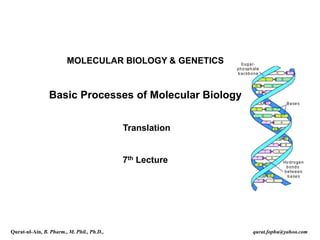 MOLECULAR BIOLOGY & GENETICS
Basic Processes of Molecular Biology
Translation
7th Lecture
Qurat-ul-Ain, B. Pharm., M. Phil., Ph.D., qurat.fophu@yahoo.com
 