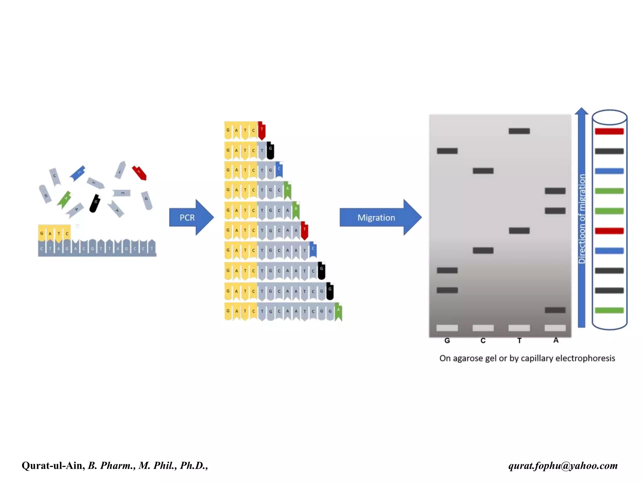 Qurat-ul-Ain, B. Pharm., M. Phil., Ph.D., qurat.fophu@yahoo.com
 