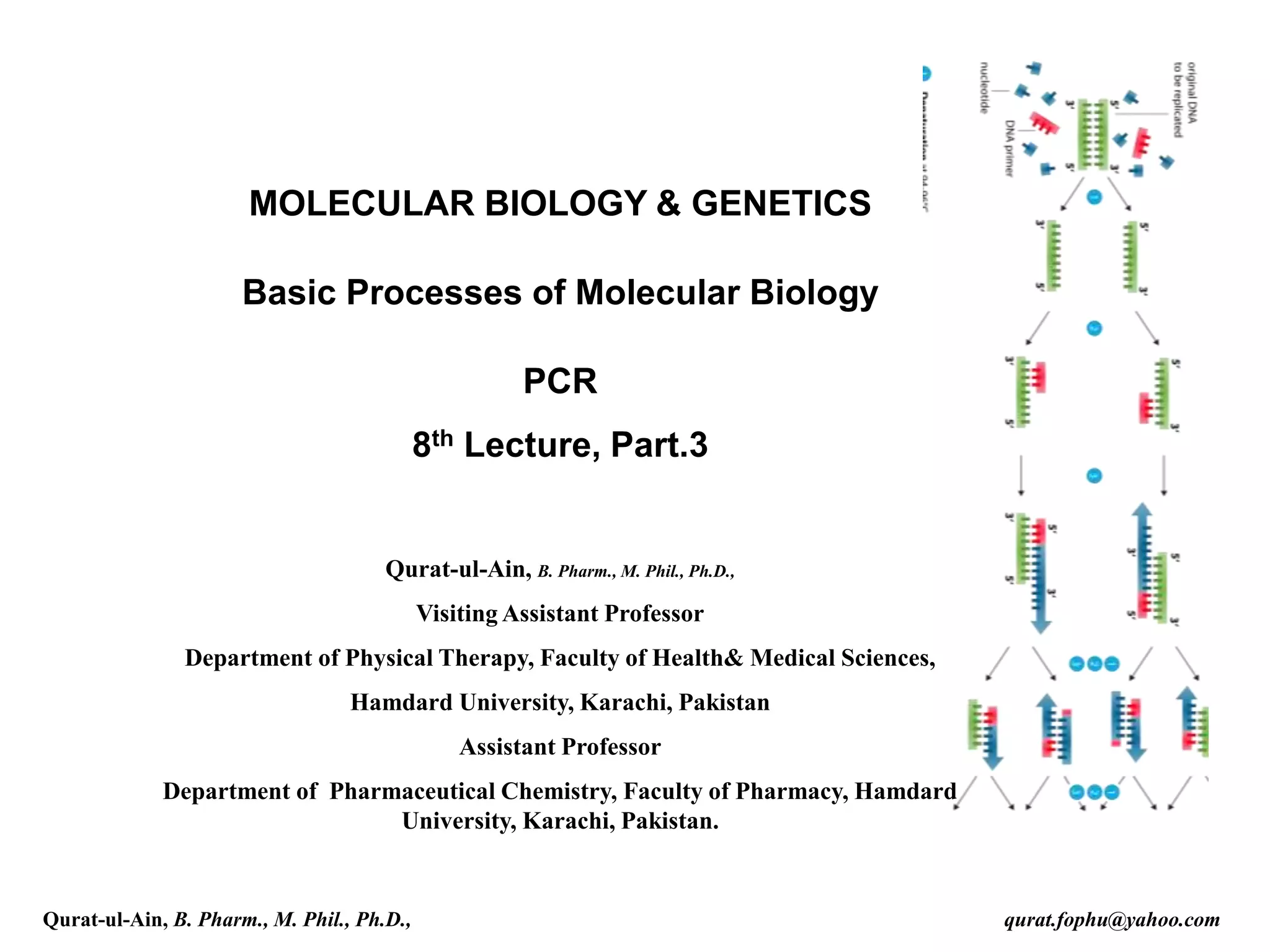 MOLECULAR BIOLOGY & GENETICS
Basic Processes of Molecular Biology
PCR
8th Lecture, Part.3
Qurat-ul-Ain, B. Pharm., M. Phil., Ph.D.,
Visiting Assistant Professor
Department of Physical Therapy, Faculty of Health& Medical Sciences,
Hamdard University, Karachi, Pakistan
Assistant Professor
Department of Pharmaceutical Chemistry, Faculty of Pharmacy, Hamdard
University, Karachi, Pakistan.
Qurat-ul-Ain, B. Pharm., M. Phil., Ph.D., qurat.fophu@yahoo.com
 