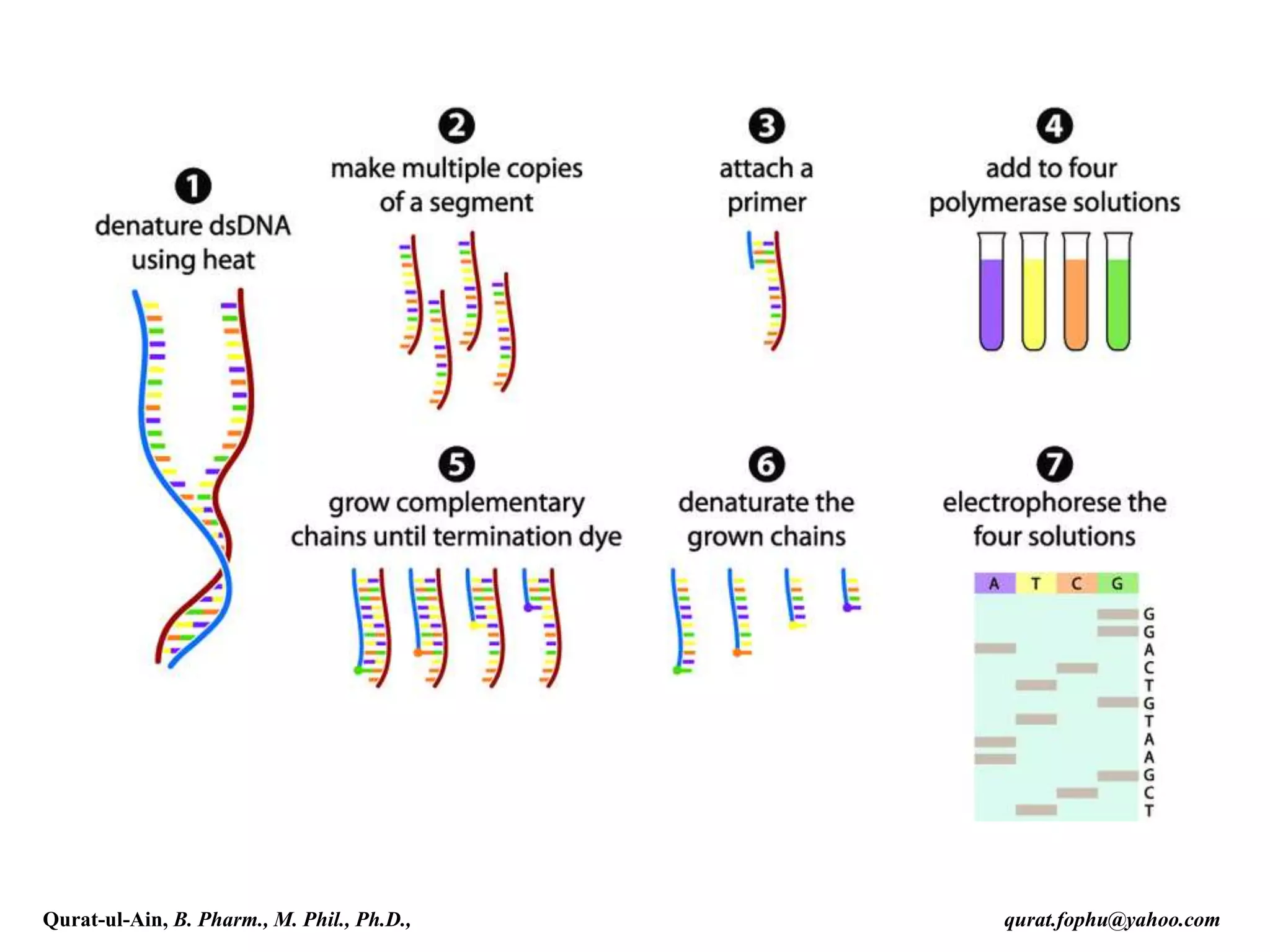 Qurat-ul-Ain, B. Pharm., M. Phil., Ph.D., qurat.fophu@yahoo.com
 