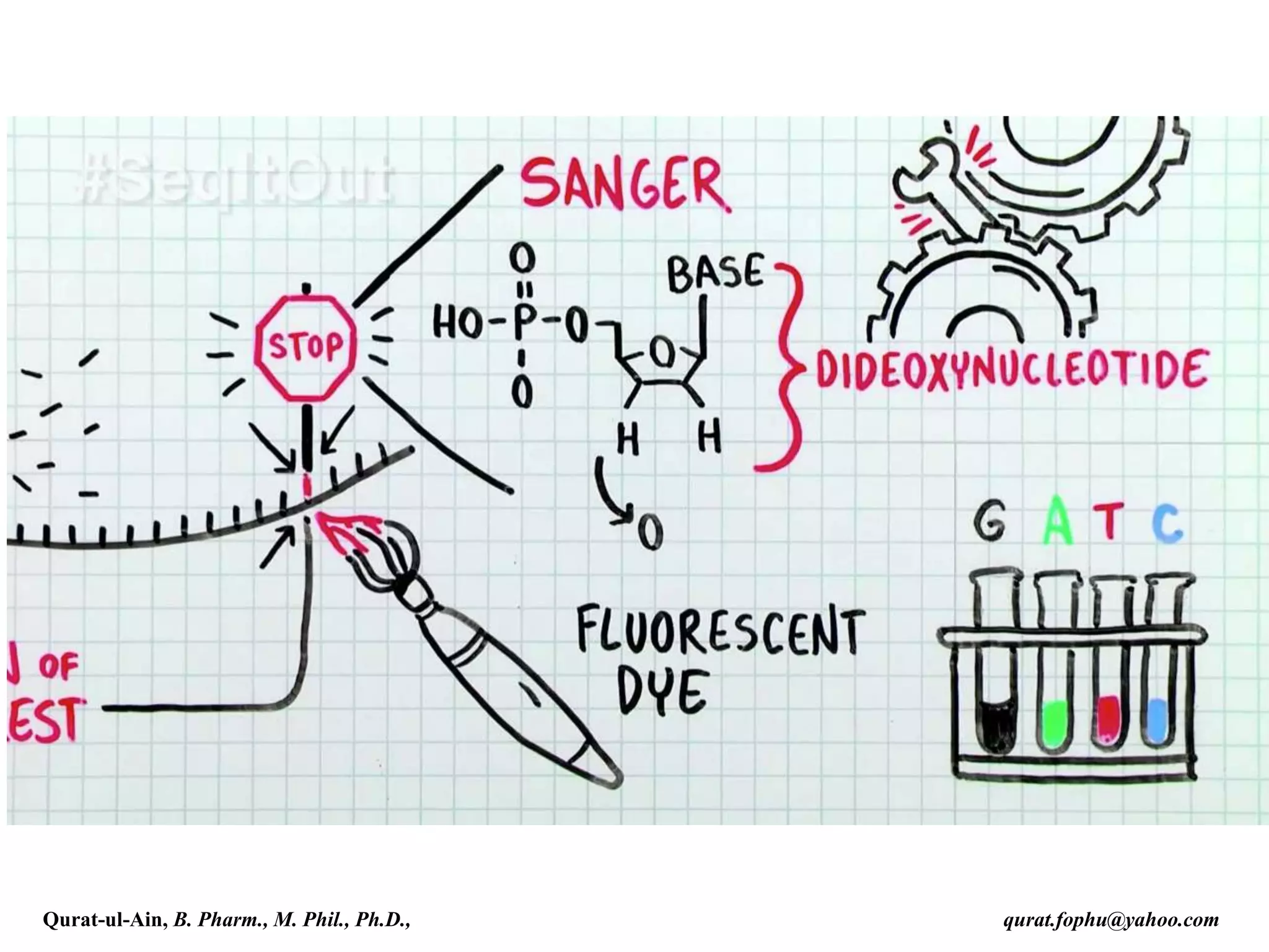 Qurat-ul-Ain, B. Pharm., M. Phil., Ph.D., qurat.fophu@yahoo.com
 