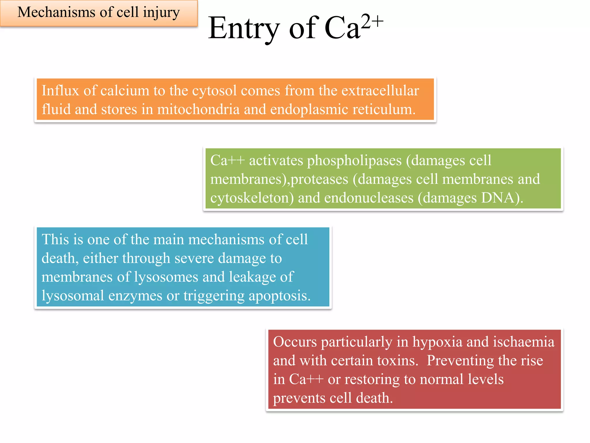Lecture.1..Mechanisms.of.cell.injury.pdf