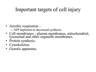 Lecture.1..Mechanisms.of.cell.injury.pdf