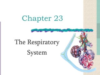 Chapter 23
The Respiratory
System
 