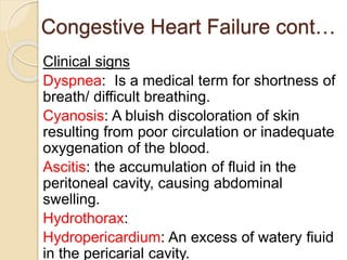 Congestive Heart Failure cont…
Clinical signs
Dyspnea: Is a medical term for shortness of
breath/ difficult breathing.
Cya...