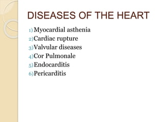 DISEASES OF THE HEART
1) Myocardial asthenia
2)Cardiac rupture
3)Valvular diseases
4)Cor Pulmonale
5)Endocarditis
6)Perica...