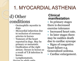 1. MYOCARDIAL ASTHENIA
d) Other
conditions
◦ Oesinophilic myositis in
dogs.
◦ Myocardial infarction due
to occlusion of co...