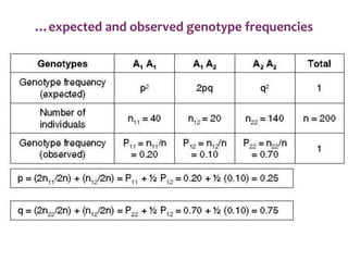 …expected and observed genotype frequencies
 