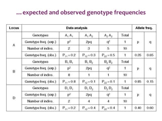 …expected and observed genotype frequencies
 
