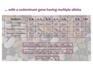 ... with a codominant gene having multiple alleles
 