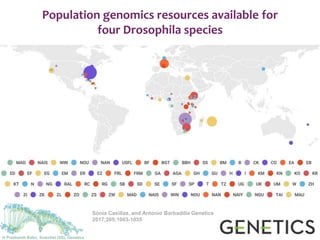 Population genomics resources available for
four Drosophila species
Sònia Casillas, and Antonio Barbadilla Genetics
2017;205:1003-1035
H Prashanth Babu, Scientist (SS), Genetics
 