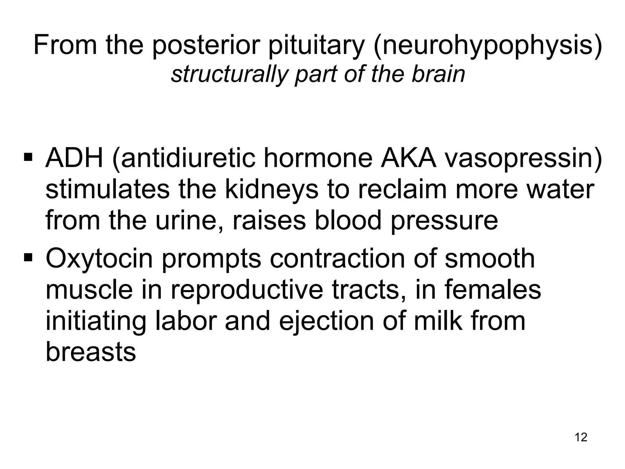 12
From the posterior pituitary (neurohypophysis)
structurally part of the brain
 ADH (antidiuretic hormone AKA vasopressin)
stimulates the kidneys to reclaim more water
from the urine, raises blood pressure
 Oxytocin prompts contraction of smooth
muscle in reproductive tracts, in females
initiating labor and ejection of milk from
breasts
 