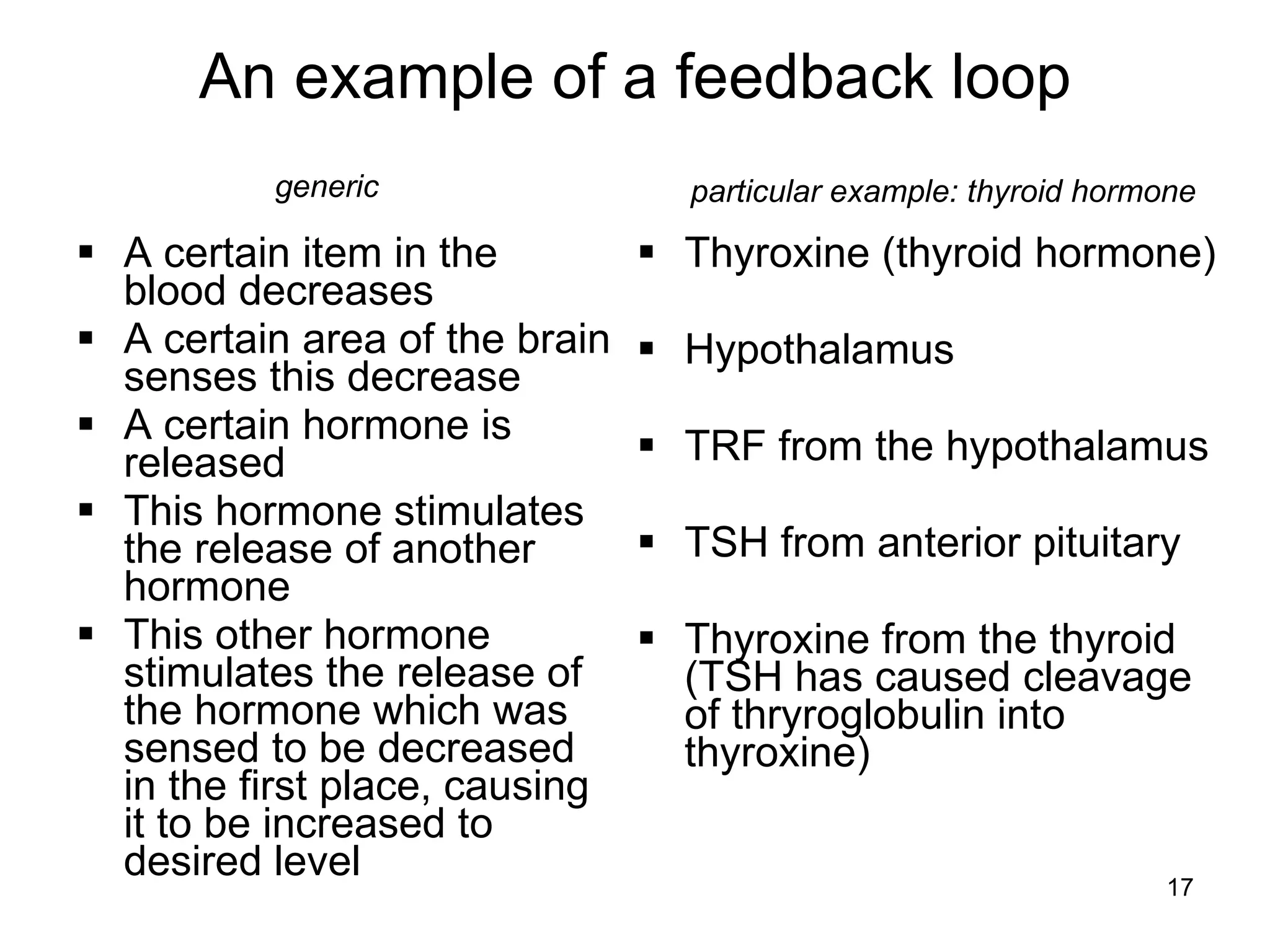 17
An example of a feedback loop
 A certain item in the
blood decreases
 A certain area of the brain
senses this decrease
 A certain hormone is
released
 This hormone stimulates
the release of another
hormone
 This other hormone
stimulates the release of
the hormone which was
sensed to be decreased
in the first place, causing
it to be increased to
desired level
 Thyroxine (thyroid hormone)
 Hypothalamus
 TRF from the hypothalamus
 TSH from anterior pituitary
 Thyroxine from the thyroid
(TSH has caused cleavage
of thryroglobulin into
thyroxine)
generic particular example: thyroid hormone
 