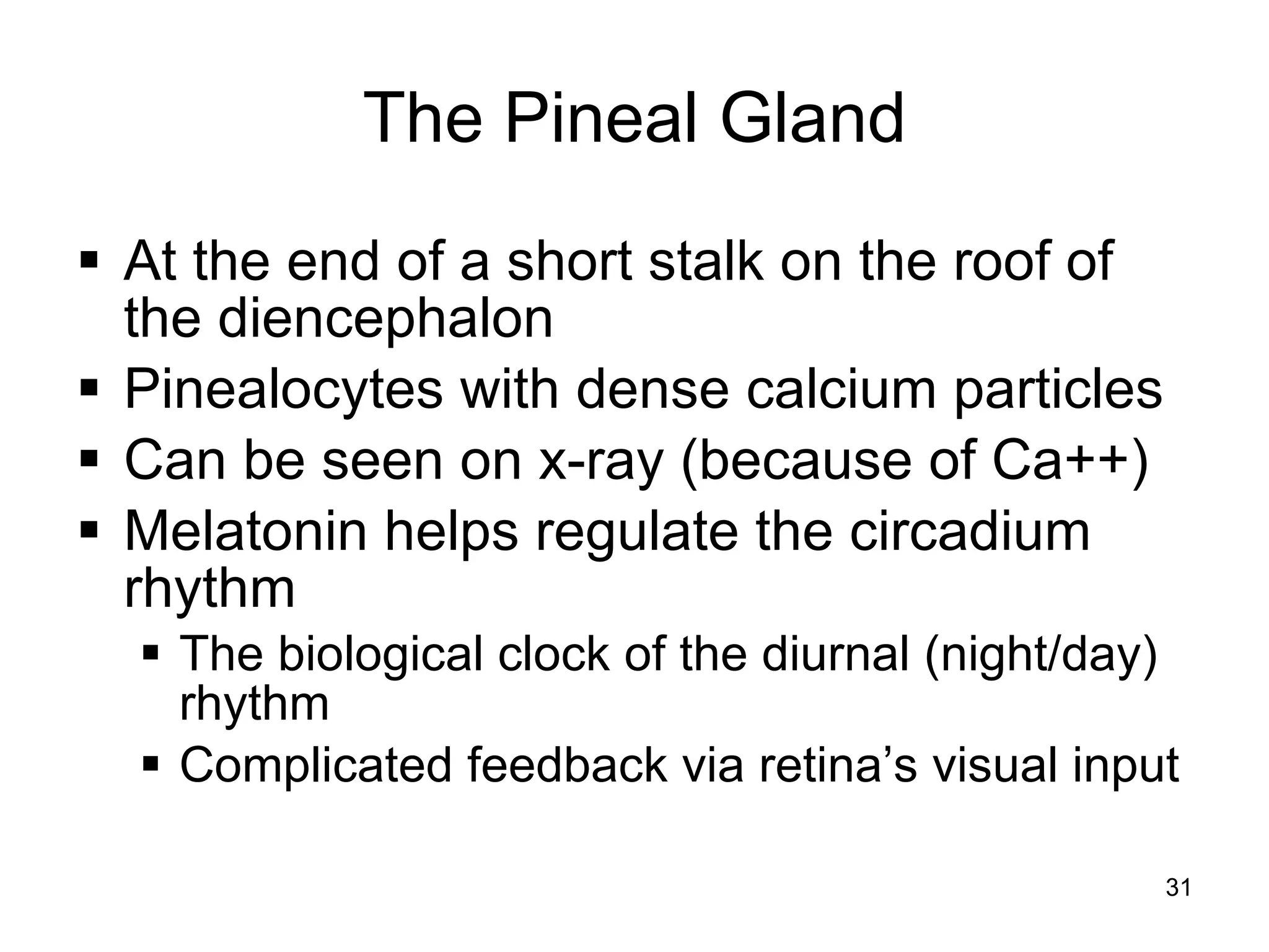 31
The Pineal Gland
 At the end of a short stalk on the roof of
the diencephalon
 Pinealocytes with dense calcium particles
 Can be seen on x-ray (because of Ca++)
 Melatonin helps regulate the circadium
rhythm
 The biological clock of the diurnal (night/day)
rhythm
 Complicated feedback via retina’s visual input
 