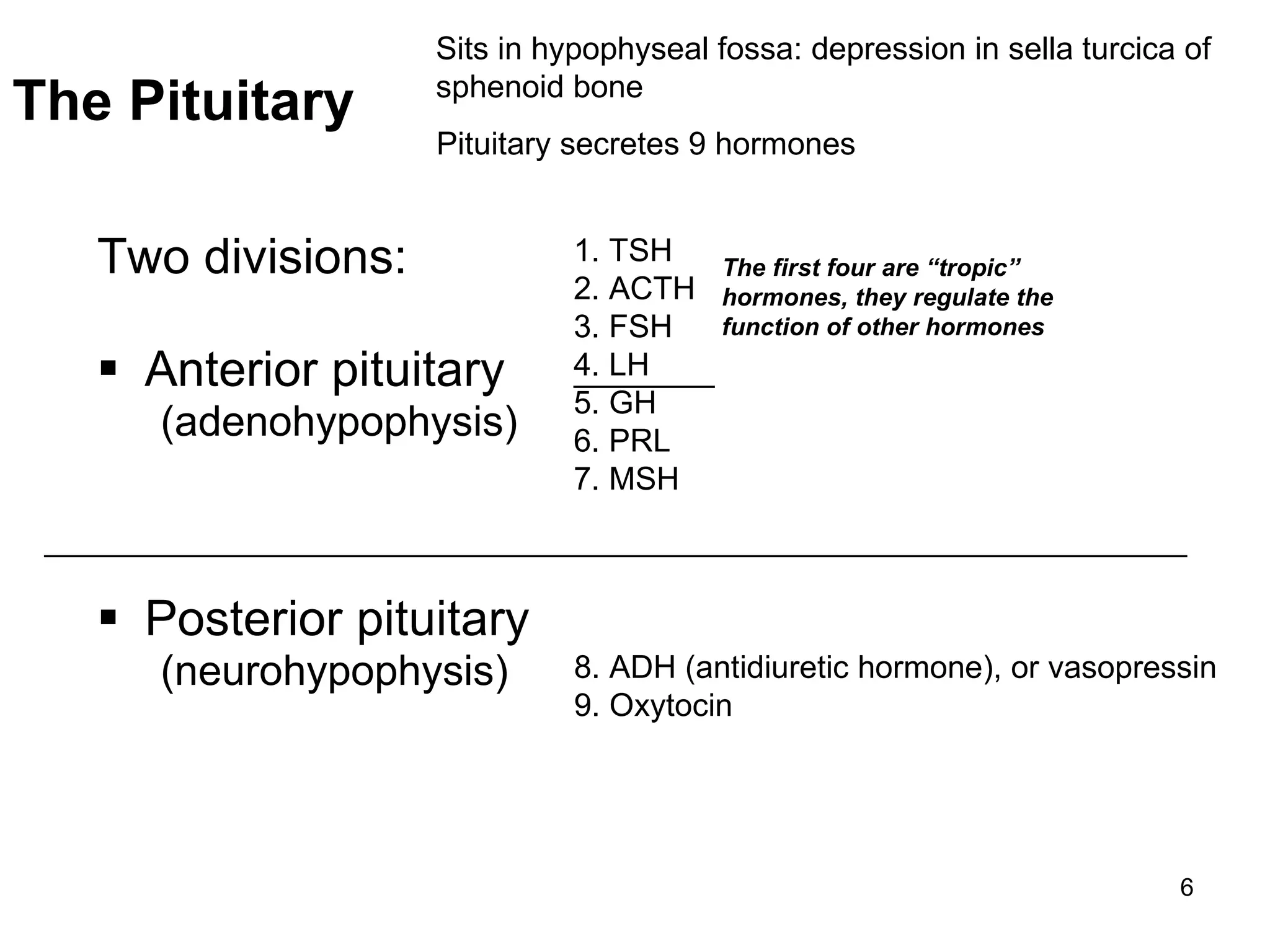 6
Two divisions:
 Anterior pituitary
(adenohypophysis)
 Posterior pituitary
(neurohypophysis)
Sits in hypophyseal fossa: depression in sella turcica of
sphenoid bone
Pituitary secretes 9 hormones
The Pituitary
1. TSH
2. ACTH
3. FSH
4. LH
5. GH
6. PRL
7. MSH
8. ADH (antidiuretic hormone), or vasopressin
9. Oxytocin
_________________________________________________________________
The first four are “tropic”
hormones, they regulate the
function of other hormones
________
 