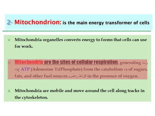 Lecture 2 bio