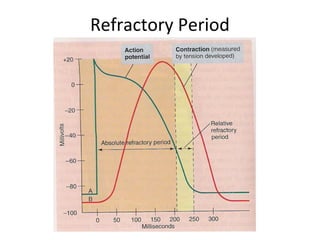 Refractory Period
 