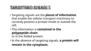 Comprehensive Overview of Protein Targeting Mechanisms in Cells | PPTX